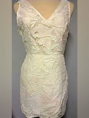 TCEC Lace V-Neck Sleeveless Mini Dress